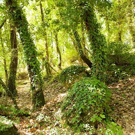 Bed & Breakfast I Quattro Elementi *